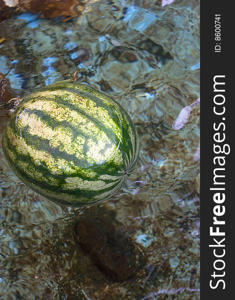 Watermelon floating in cold water on hot summer day