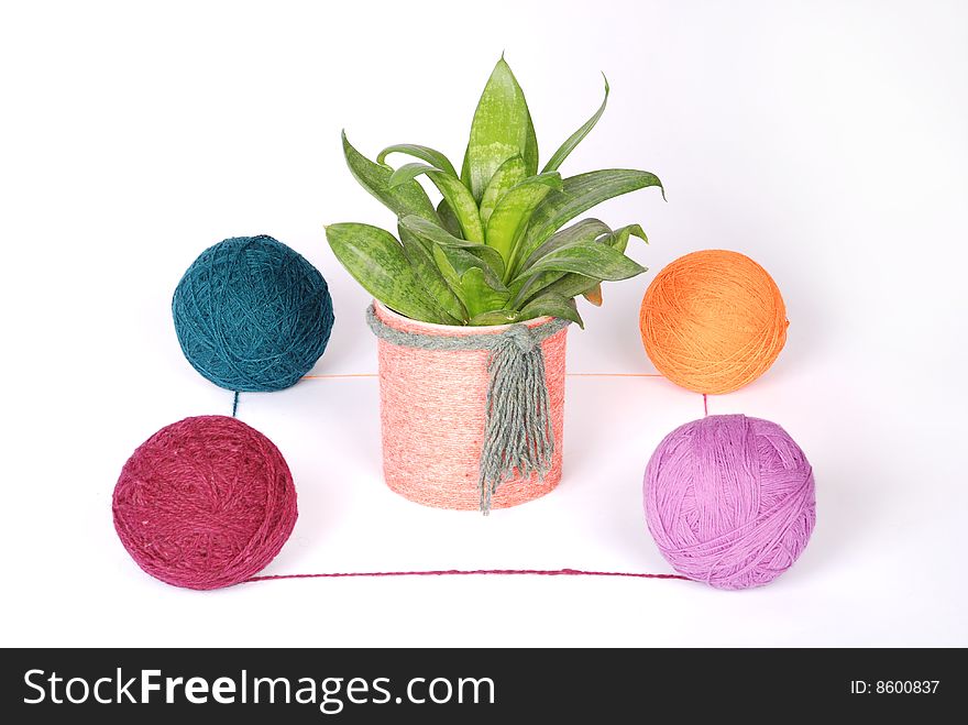 Flowerpot and clew isolated on a white background