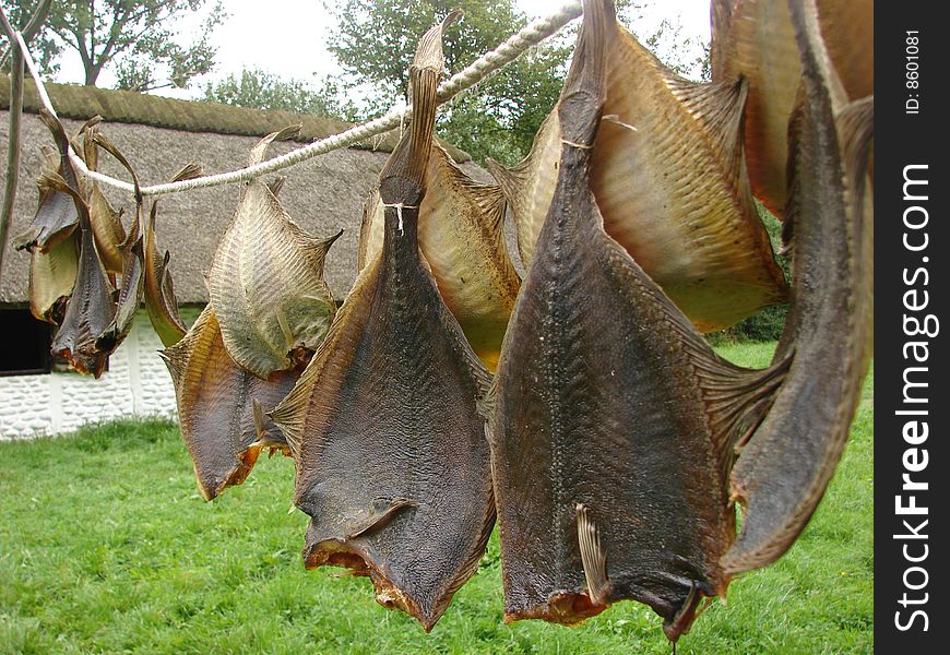 Flatfish hanging out for drying. Flatfish hanging out for drying