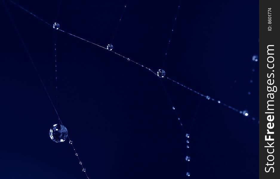 Spider web with drops on dark background. Spider web with drops on dark background
