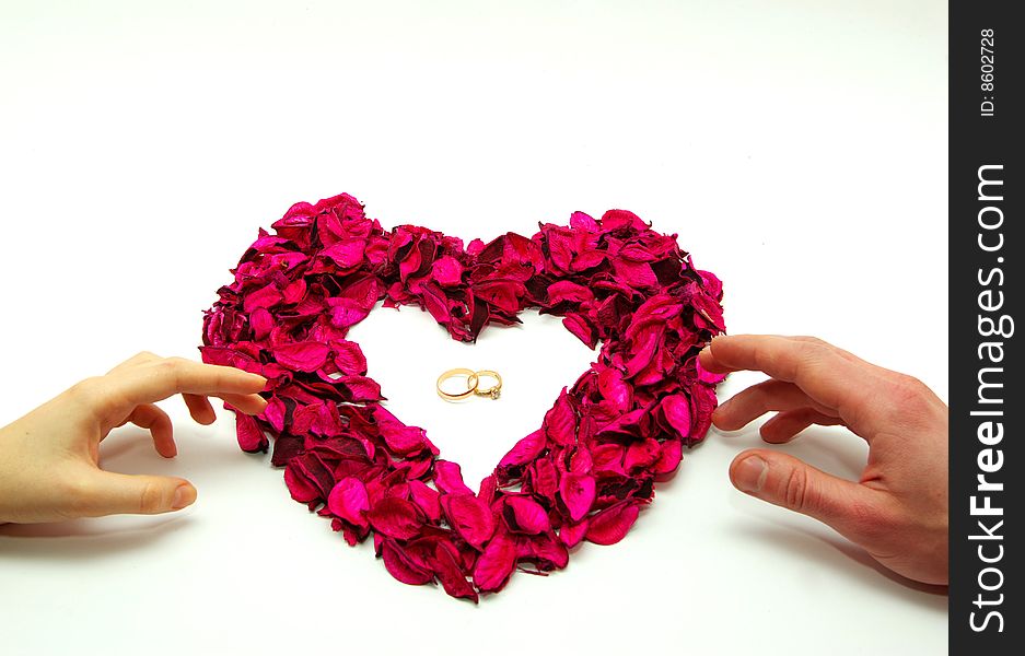 Women Hands on Color Rose Petals