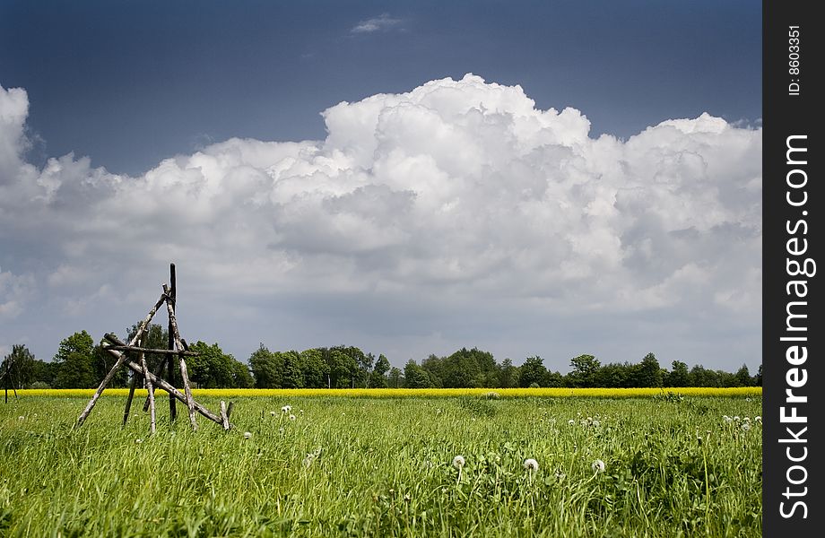 Green grain not ready for harvest growing in a farm field. Green grain not ready for harvest growing in a farm field