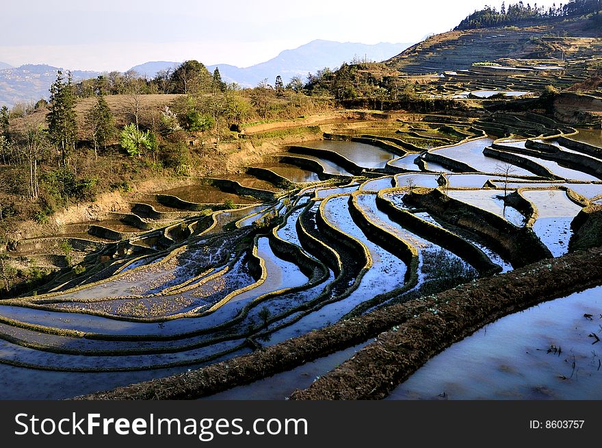 Yuanyang County, Yunnan Province China Ailaoshan the southern section of the Hani Hani Terrace is the local people for thousands of years by the sweat of the mountain opened up dozens of hectares of irrigation terraces, known as the wonders of the world, this map is one of the largest and most spectacular momentum The terraced fields. Yuanyang County, Yunnan Province China Ailaoshan the southern section of the Hani Hani Terrace is the local people for thousands of years by the sweat of the mountain opened up dozens of hectares of irrigation terraces, known as the wonders of the world, this map is one of the largest and most spectacular momentum The terraced fields.