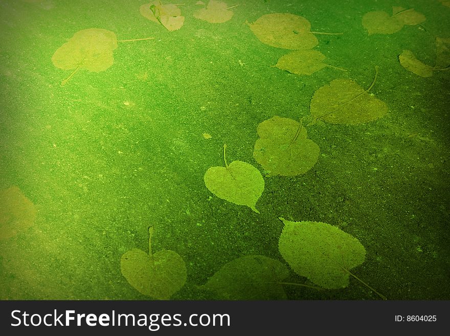 Green background with leaves, textured
