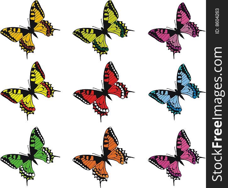 Collection Of Colorful  Butterflies