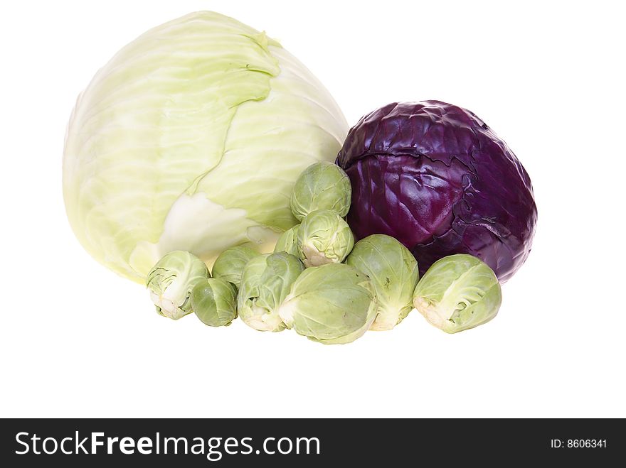 Variable types of cabbages isolated on white background