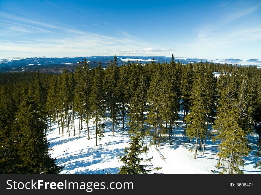 Nice panorama in the Boubin forest