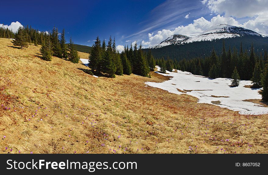 A mountain landscape in early spring. A mountain landscape in early spring.