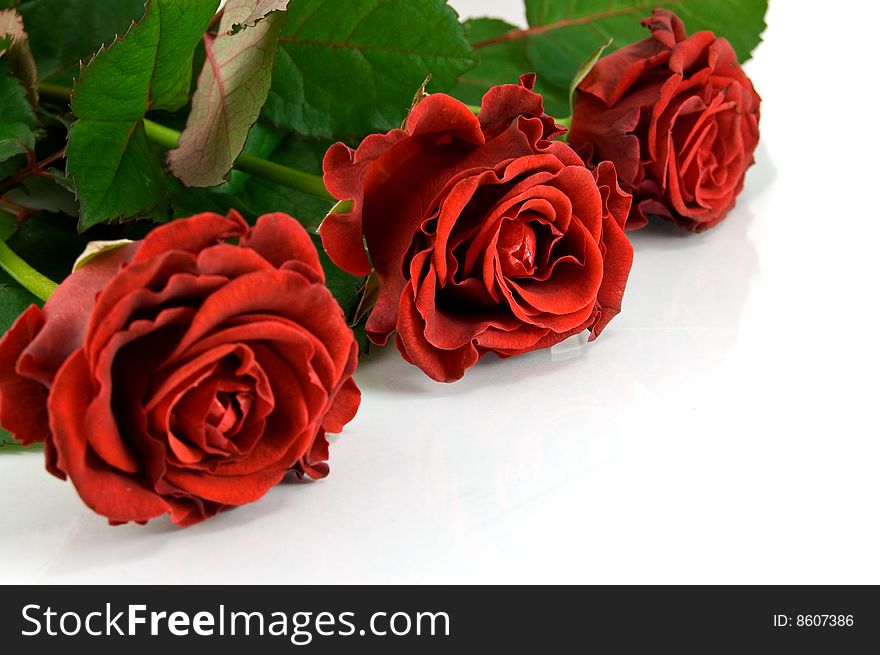 Red rose bouquet on the white