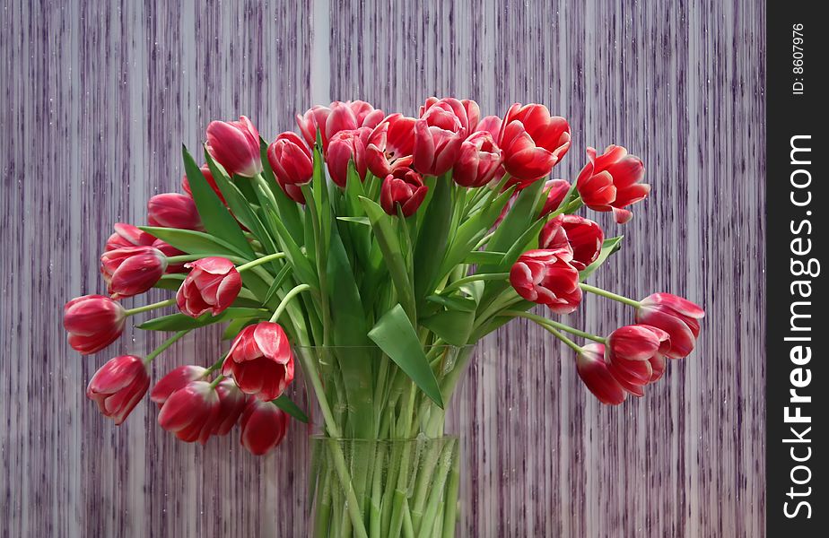 Big bunch of beautiful tulips
