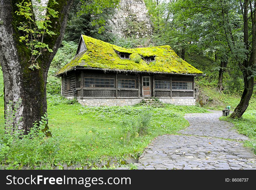 Old historic house with green grass on roof. Old historic house with green grass on roof