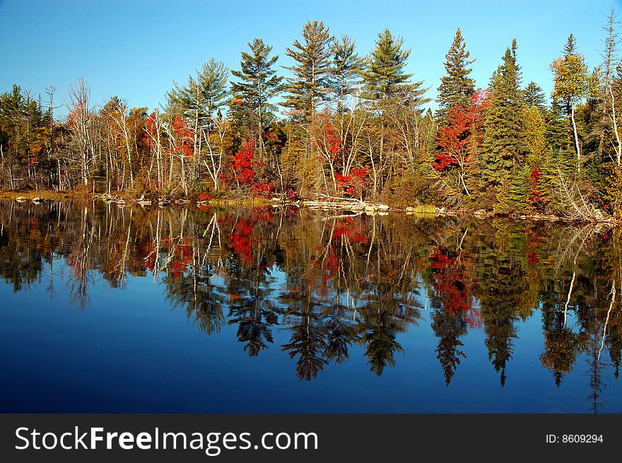 Fall scene at Flack lake, Ontario