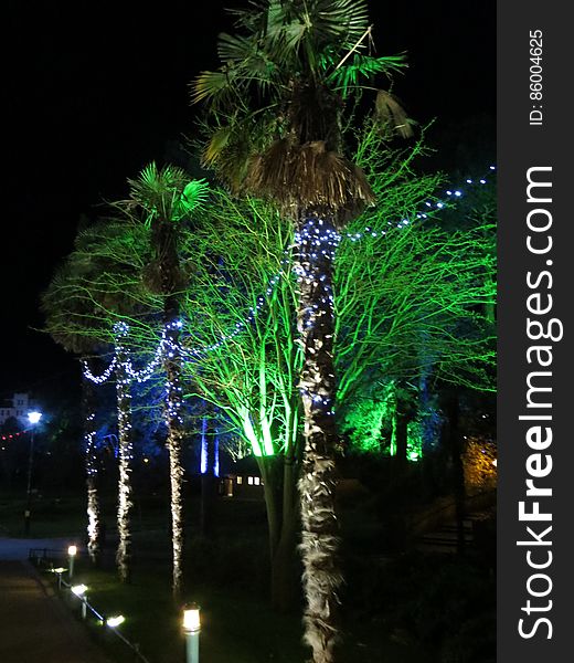 Bournemouth Christmas