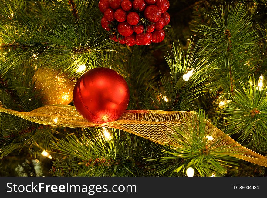 Holiday Tree &#x28;aka Christmas Tree&#x29;