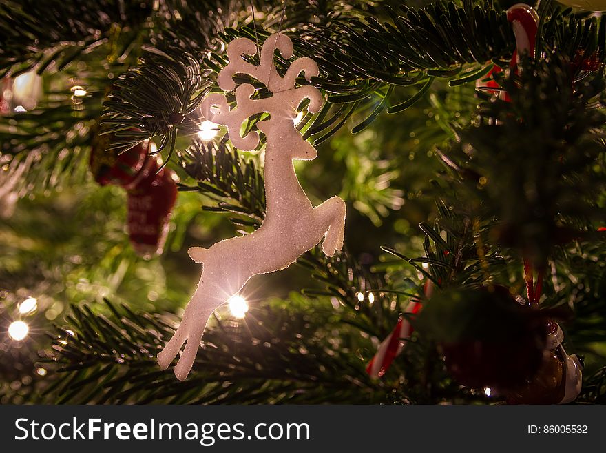 Reindeer Ornament Hanging On Christmas Tree