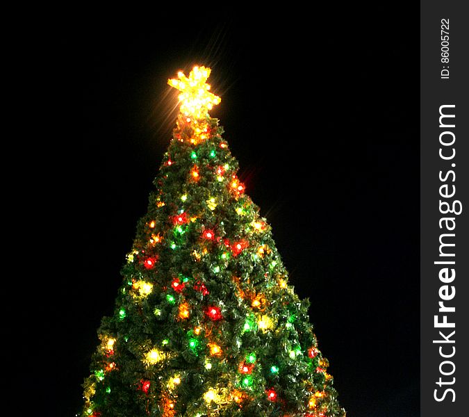 City of Waco Christmas tree. City of Waco Christmas tree.
