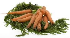 Carrots Royalty Free Stock Images Carrots Royalty Free Stock Images