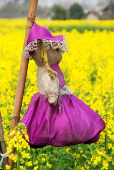 Pengzhou, China: Doll Scarecrow In Rapeseed Field Stock Photo Pengzhou, China: Doll Scarecrow In Rapeseed Field Stock Photo