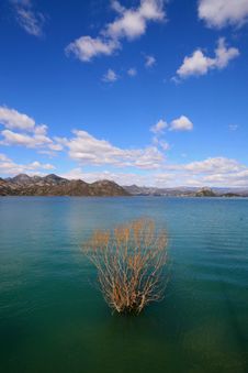 Skadar Lake Royalty Free Stock Photography Skadar Lake Royalty Free Stock Photography
