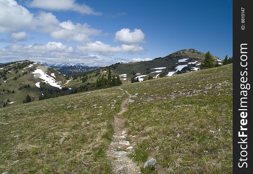 A narrow path winds along a gentle meadow alpine hillside in Manning Park in southern British Columbia, Canada. A narrow path winds along a gentle meadow alpine hillside in Manning Park in southern British Columbia, Canada