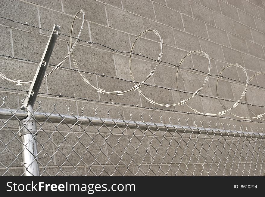 Coiled razor wire on top of a chain link fence. Coiled razor wire on top of a chain link fence