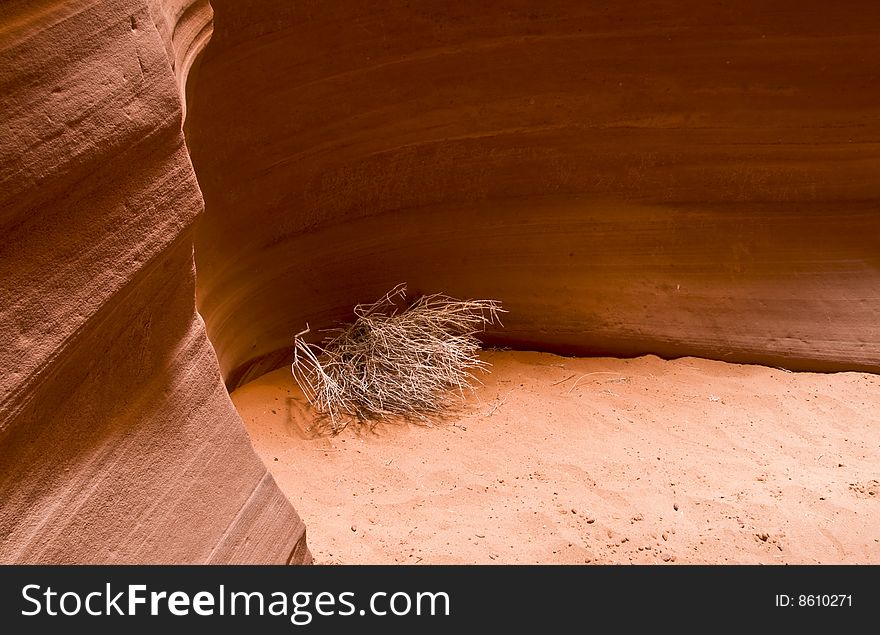 A tumbleweed sits inside a sandstone slot canyon. A tumbleweed sits inside a sandstone slot canyon