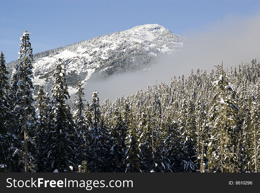 Forested winter mountain and snow covered trees in southern British Columbia, Canada