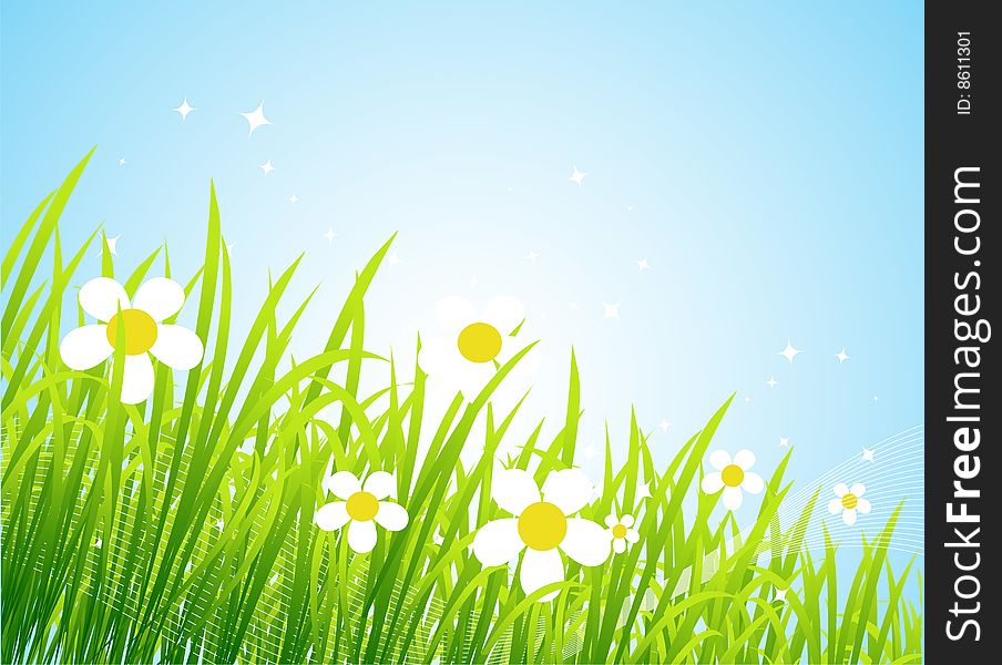 Spring meadow beautiful, vector illustration