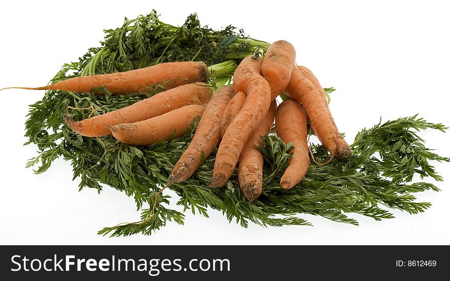 Carrots, fresh of the earth against a white background