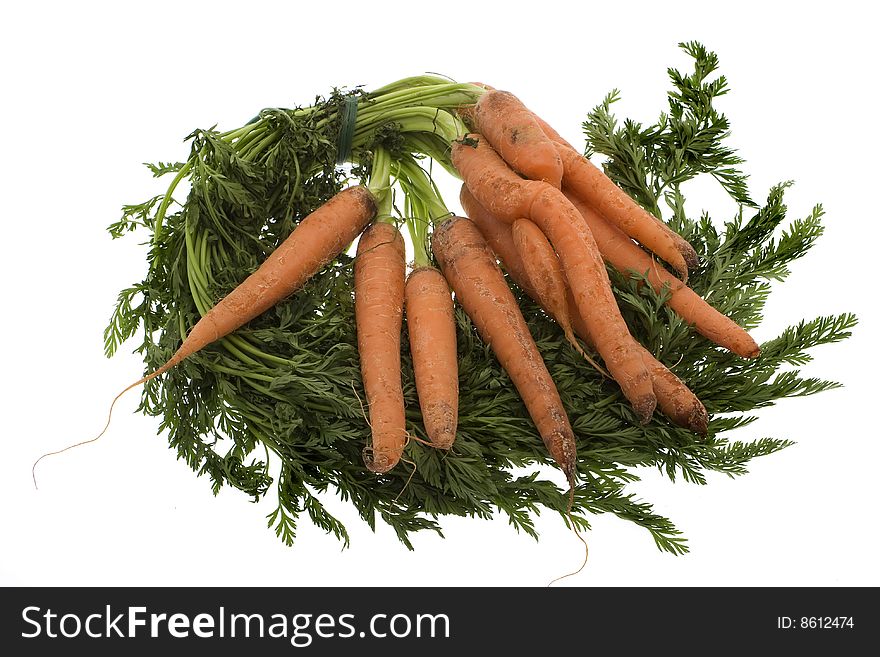 Carrots, fresh of the earth against a white background