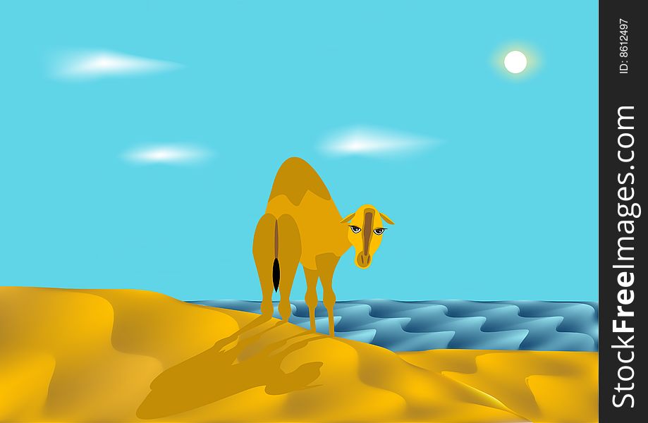 Solitary camel in desert ashore epidemic deathes