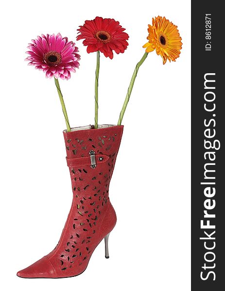 Three flowers (gerber) in female boot. Three flowers (gerber) in female boot