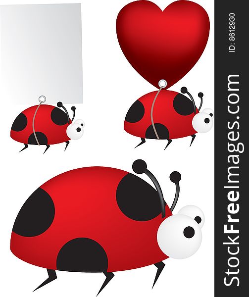 Detailed vector file of a set of 3 ladybird illustrations. Detailed vector file of a set of 3 ladybird illustrations