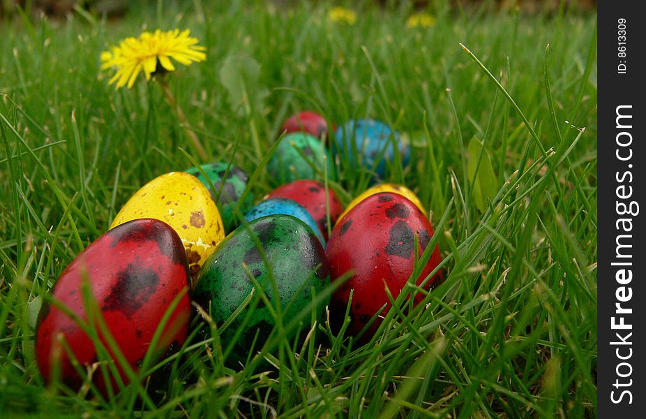 Easter Eggs Hidden in the Grass