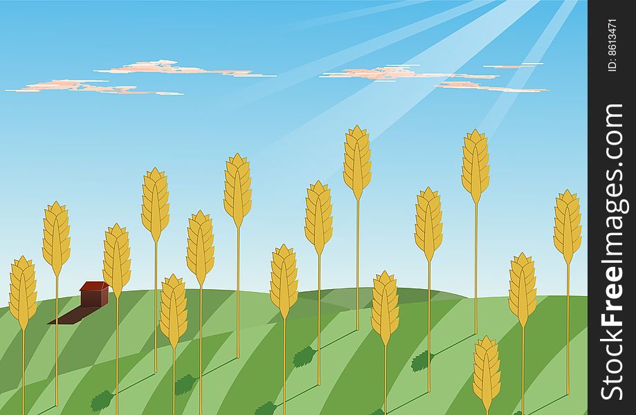 An illustration about agriculture. In particular on grain growing.