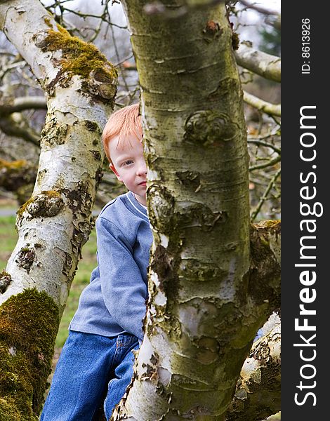 Young boy sitting in a tree and peeking from behind large branch