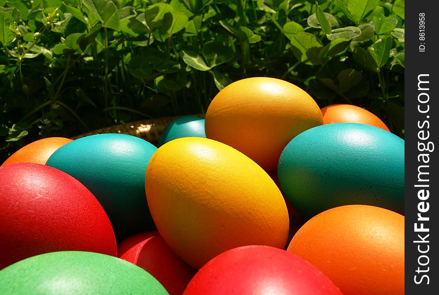 Easter Eggs Hidden in the Grass