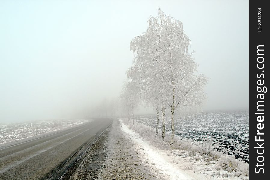 Country landscape in frost and fog