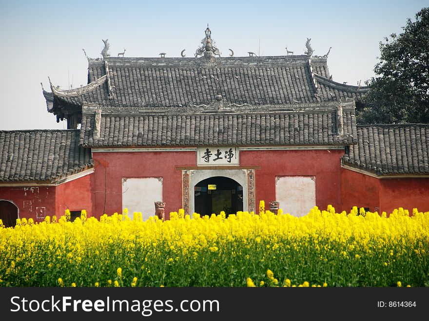 The charming countryside Jing Tu Buddhist temple  sits amidst fields of yellow rapeseed oil flowers in Pengzhou, Sichuan province, China - Lee Snider Photo. The charming countryside Jing Tu Buddhist temple  sits amidst fields of yellow rapeseed oil flowers in Pengzhou, Sichuan province, China - Lee Snider Photo.