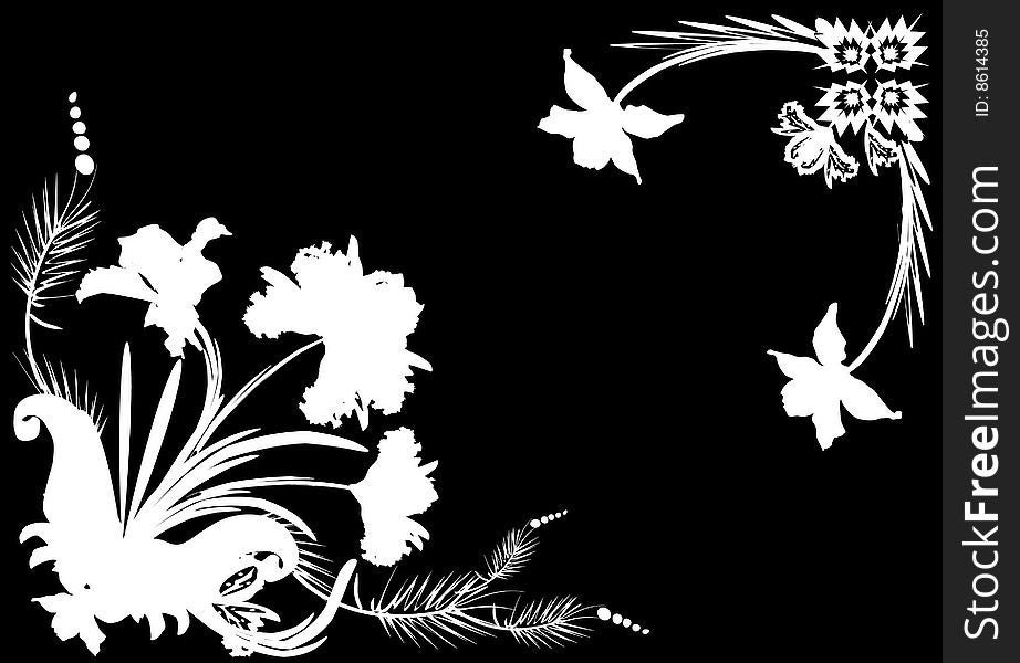 Illustration with white orchid frame on black background