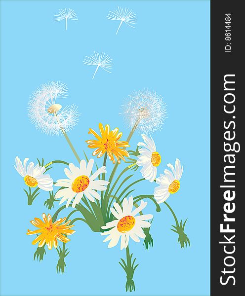 Illustration with white dandelions and chamomilles