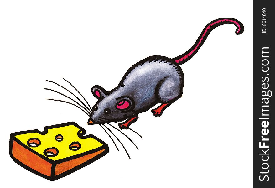 Grey mouse animal with cheese