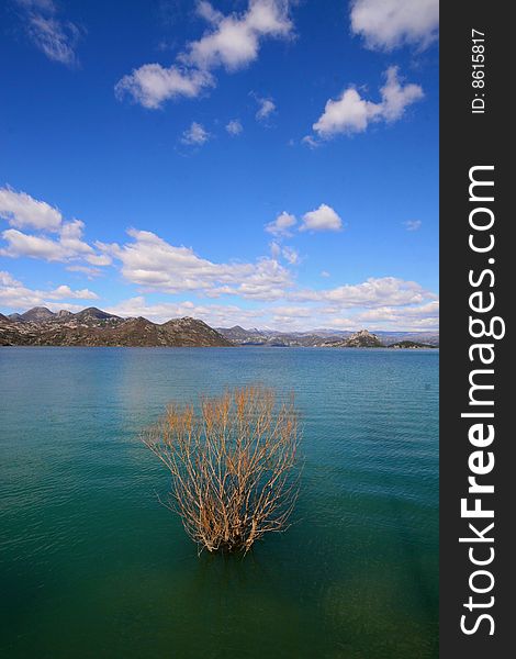 Montenegro Skadar lake natural colors detail