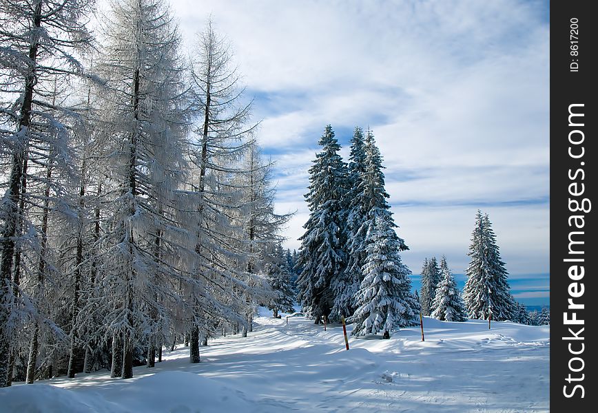 Winter landscape on the mountain Kopaonik in Serbia