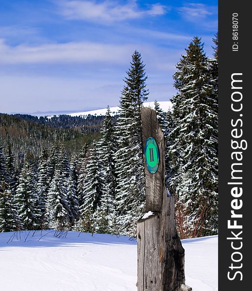 Detail the winter landscape on the mountain Kopaonik