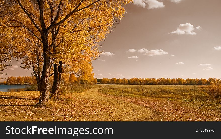 Road near river. Autumn landscape.