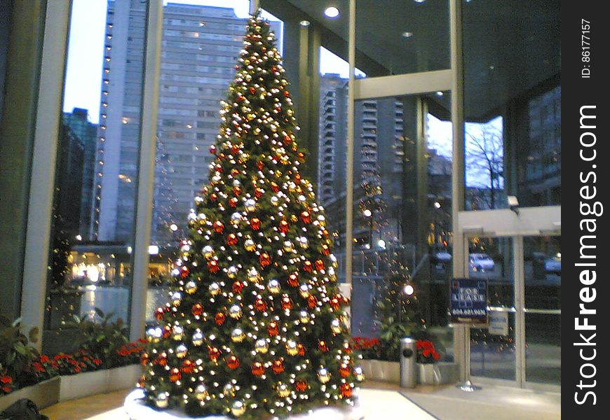 Christmas Tree At 1500 Georgia