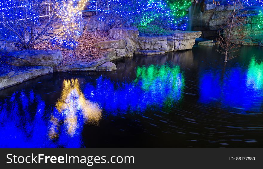 Wild Lights Christmas display at the St. Louis Zoo. Â© Copyright Philip Leara - Creative Commons - Attribution-NonCommercial-ShareAlike &#x28;CC BY-NC-SA 3.0&#x29;. Wild Lights Christmas display at the St. Louis Zoo. Â© Copyright Philip Leara - Creative Commons - Attribution-NonCommercial-ShareAlike &#x28;CC BY-NC-SA 3.0&#x29;
