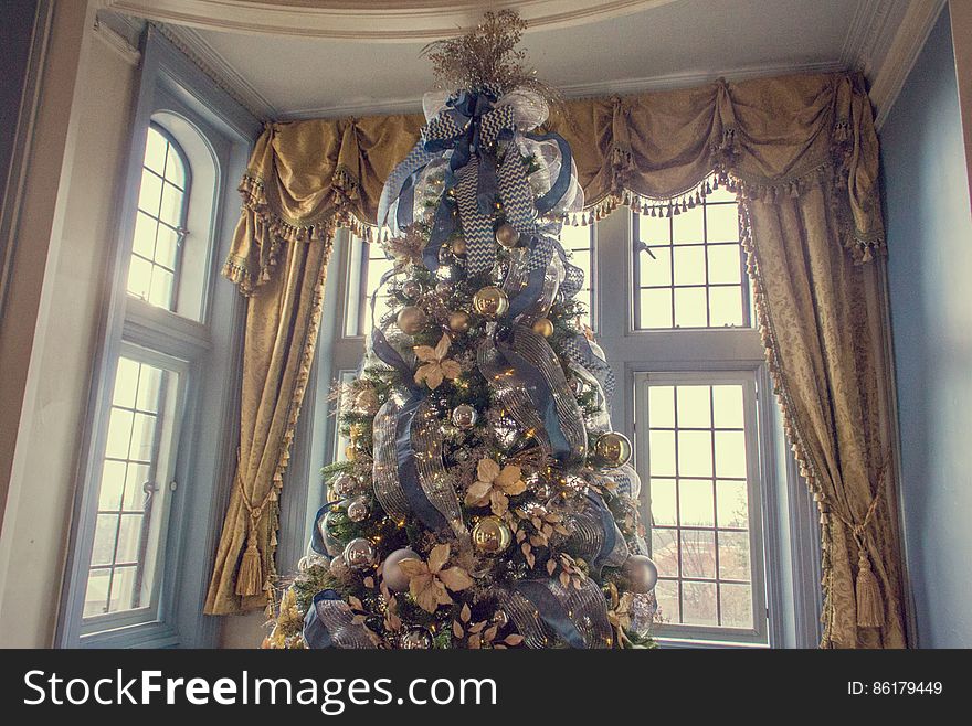 Christmas Tree, Window, Building, Christmas Ornament