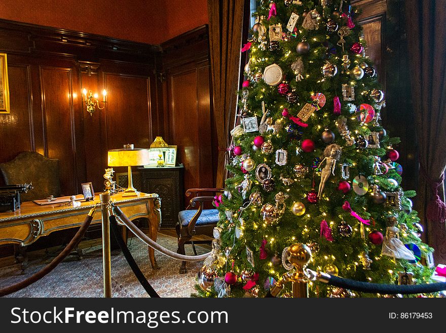 Christmas tree, Property, Christmas ornament, Decoration, Tree, Plant